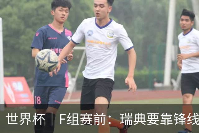 世界杯｜F组赛前：瑞典要靠锋线双星 突尼斯欲出线